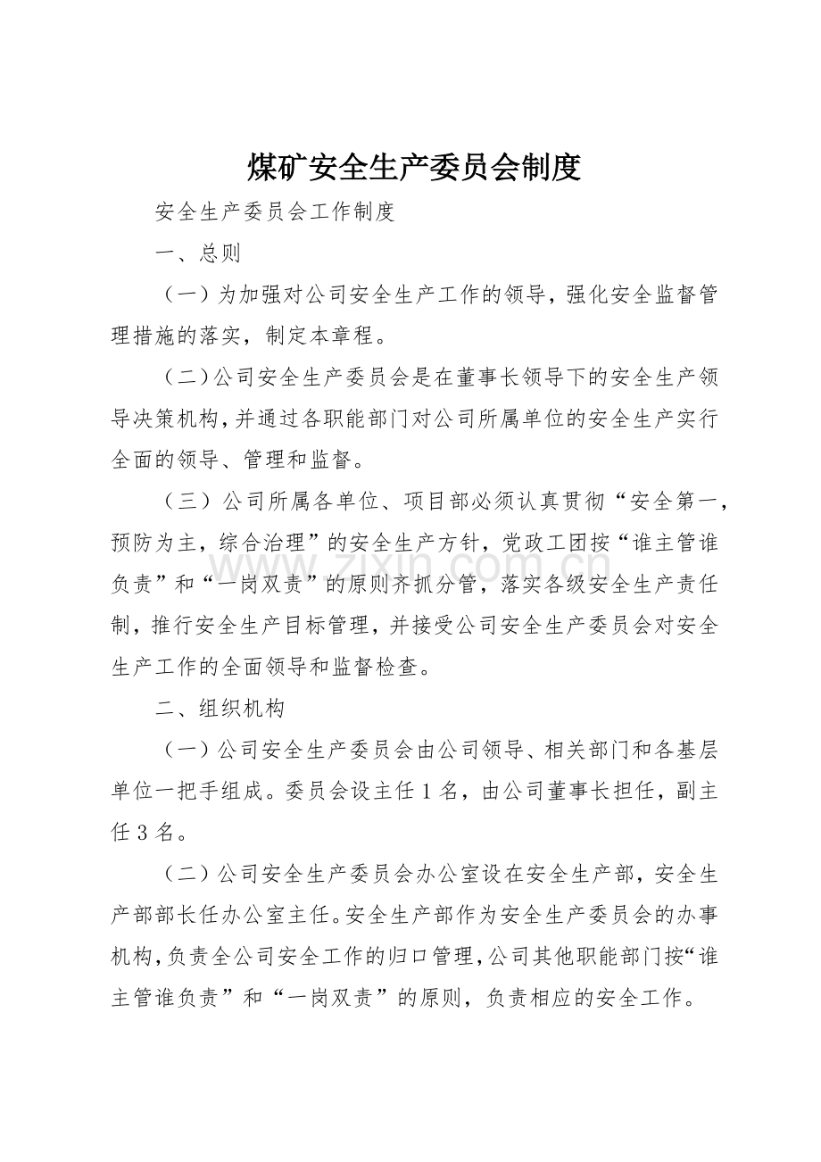 煤矿安全生产委员会规章制度细则.docx_第1页