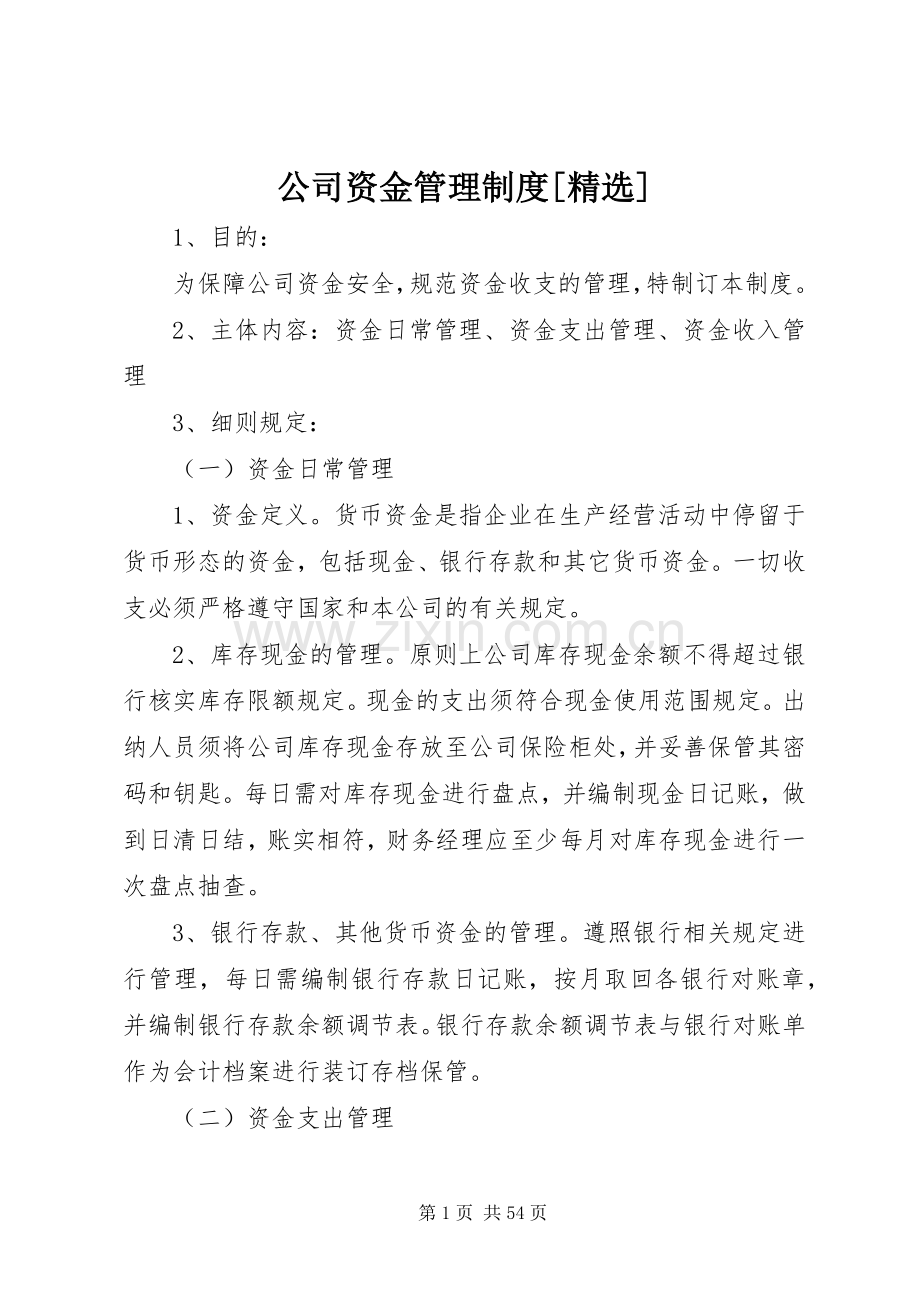 公司资金管理规章制度[].docx_第1页