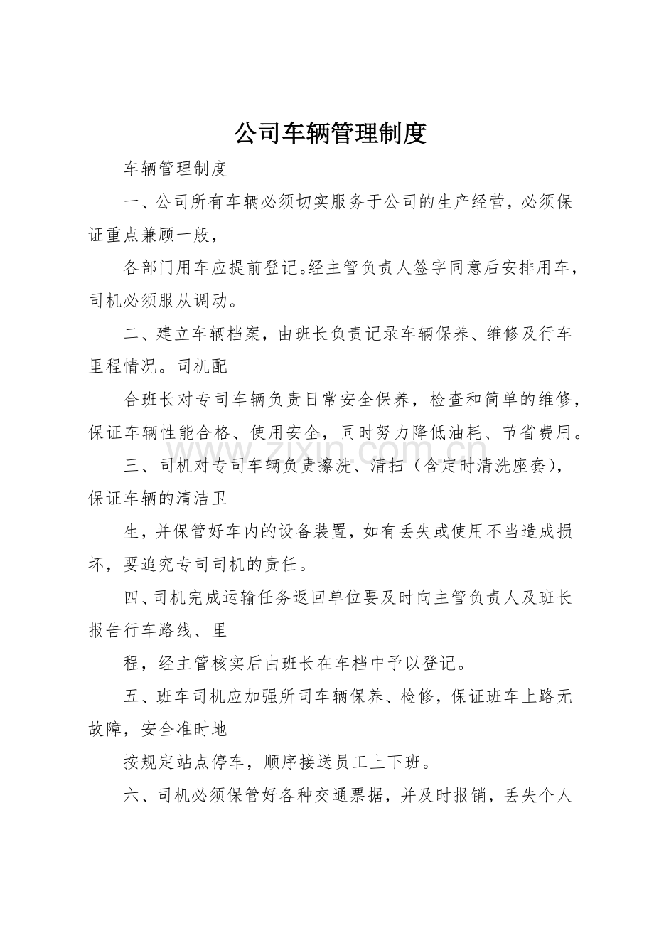 公司车辆管理规章制度_2 (6).docx_第1页