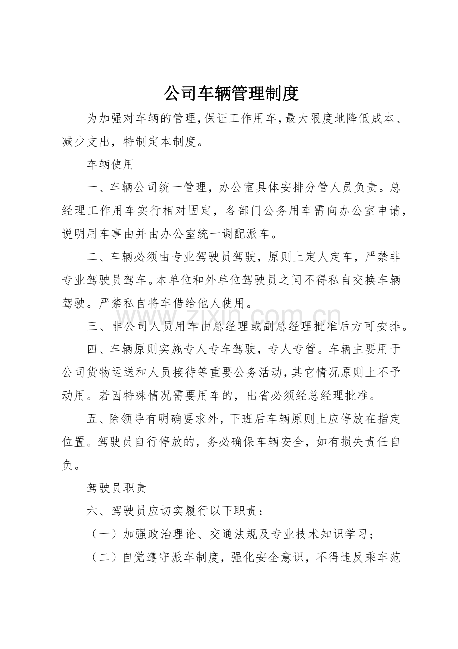 公司车辆管理规章制度_2 (7).docx_第1页