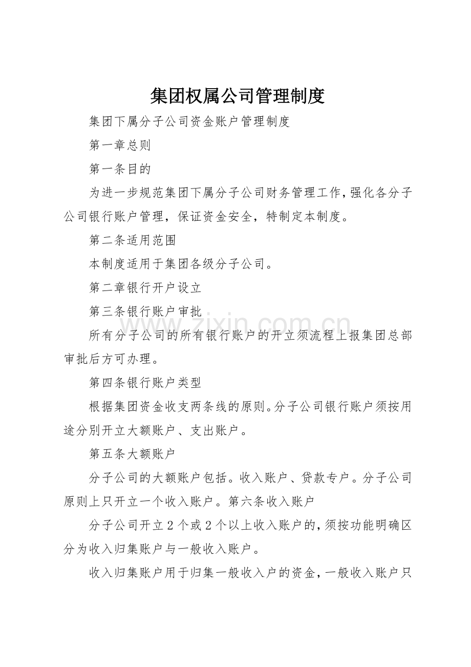 集团权属公司管理规章制度 .docx_第1页