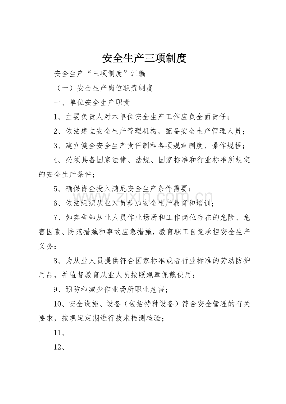 安全生产三项规章制度细则.docx_第1页