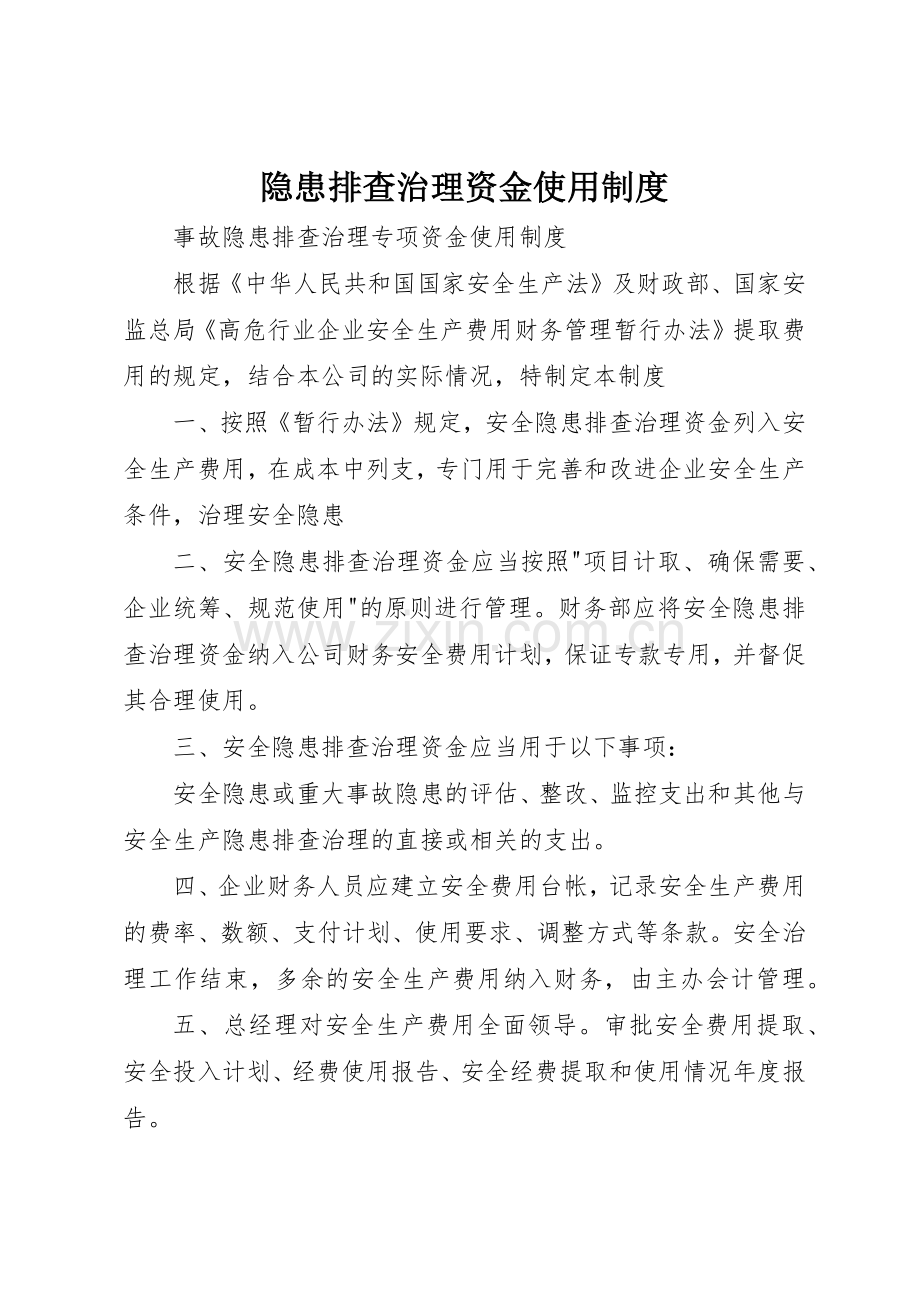 隐患排查治理资金使用规章制度细则.docx_第1页