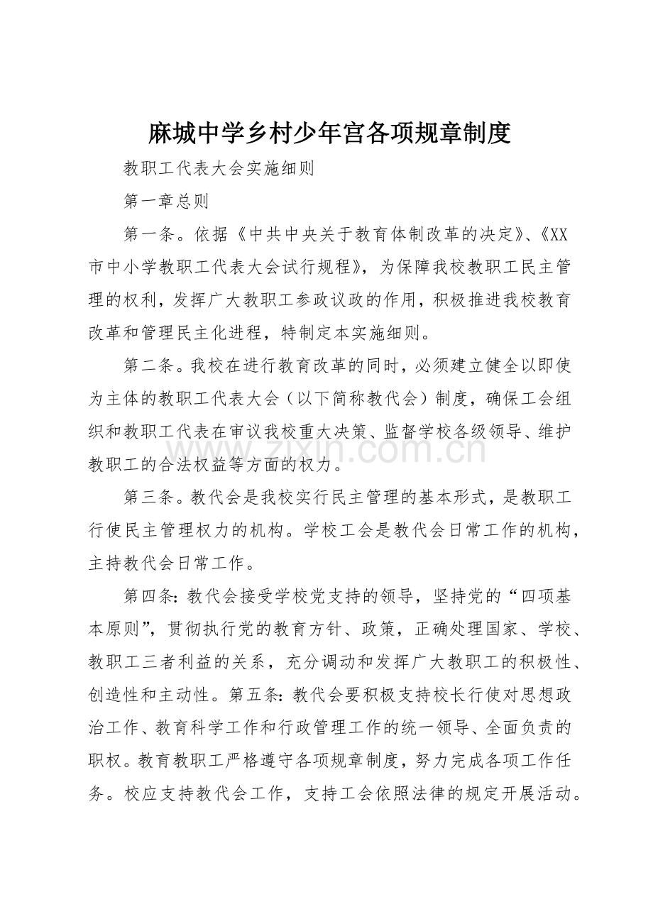 麻城中学乡村少年宫各项规章规章制度 .docx_第1页