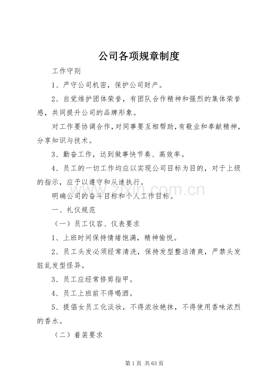 公司各项规章规章制度.docx_第1页