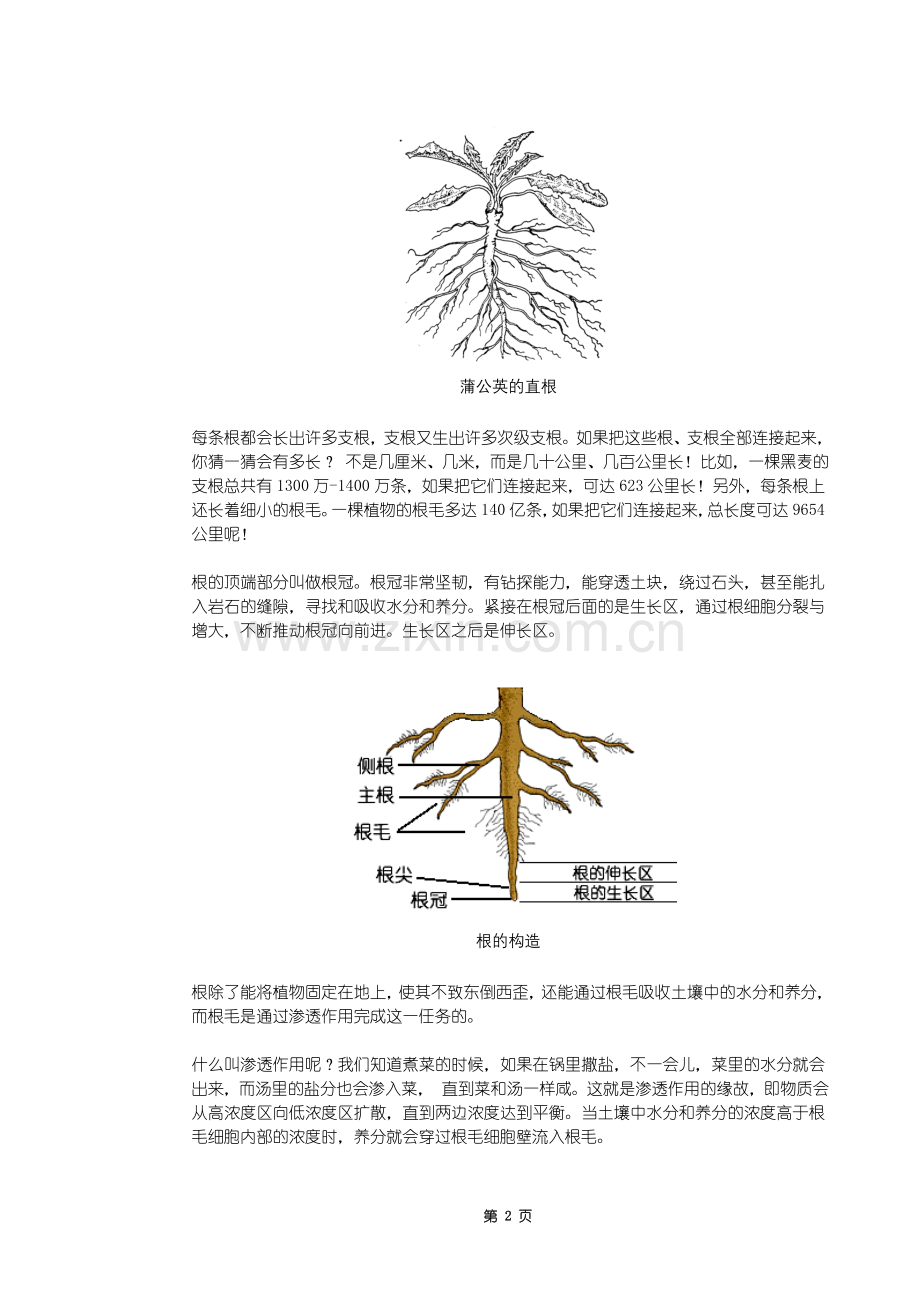 第一章基础知识.doc_第2页