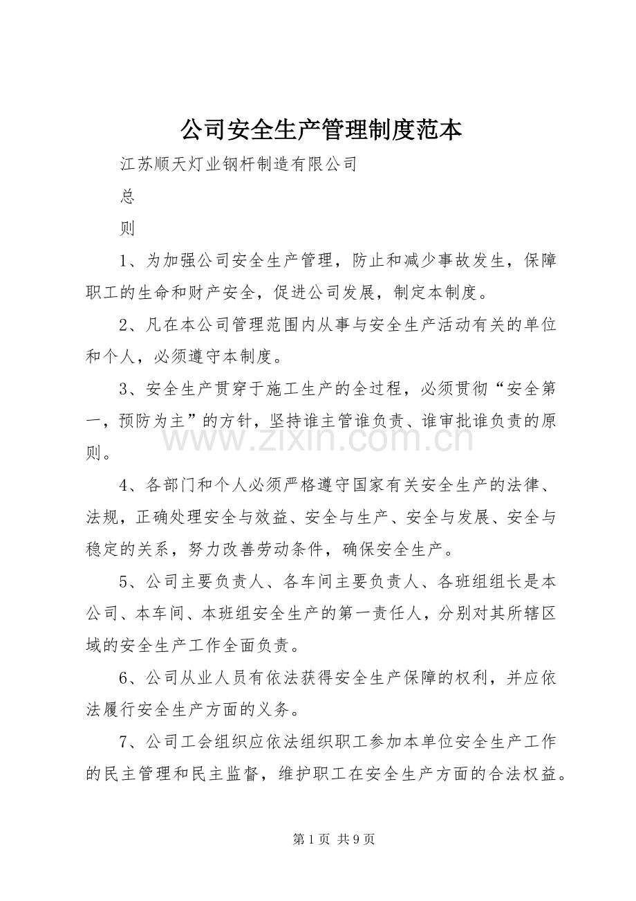 公司安全生产管理规章制度范本 (2).docx_第1页