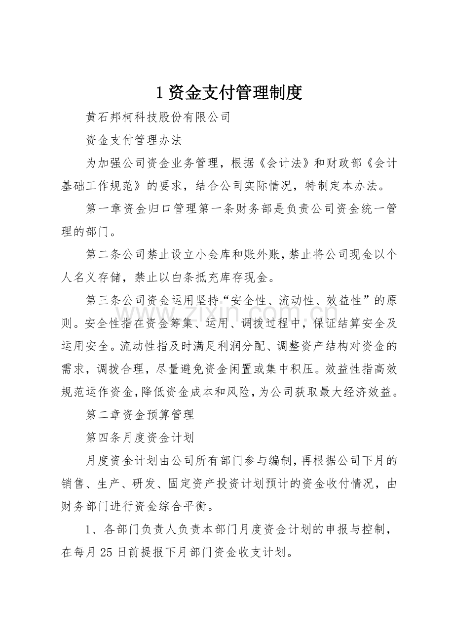 资金支付管理规章制度细则.docx_第1页