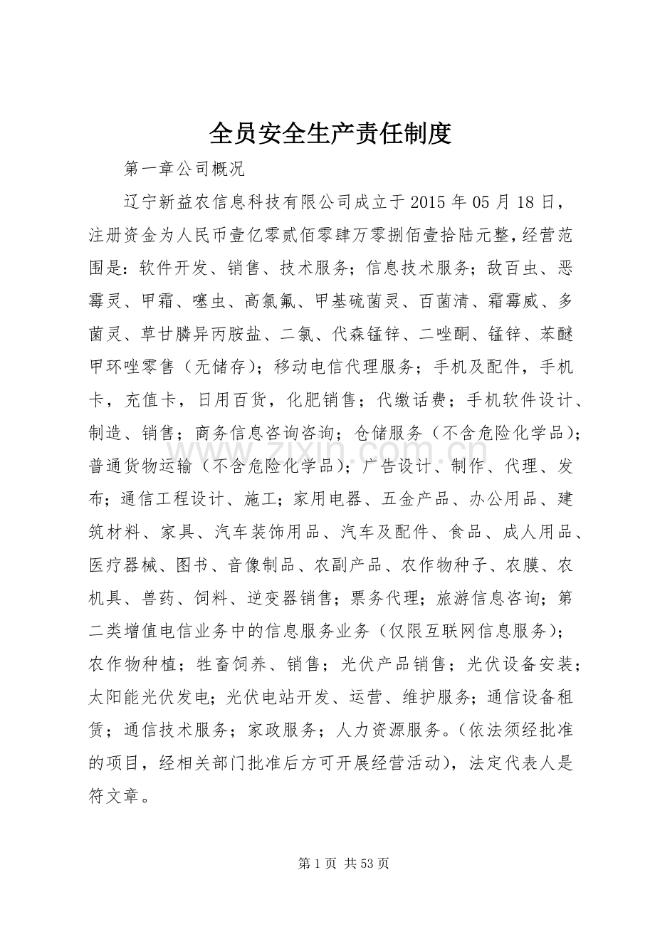 全员安全生产责任规章制度.docx_第1页