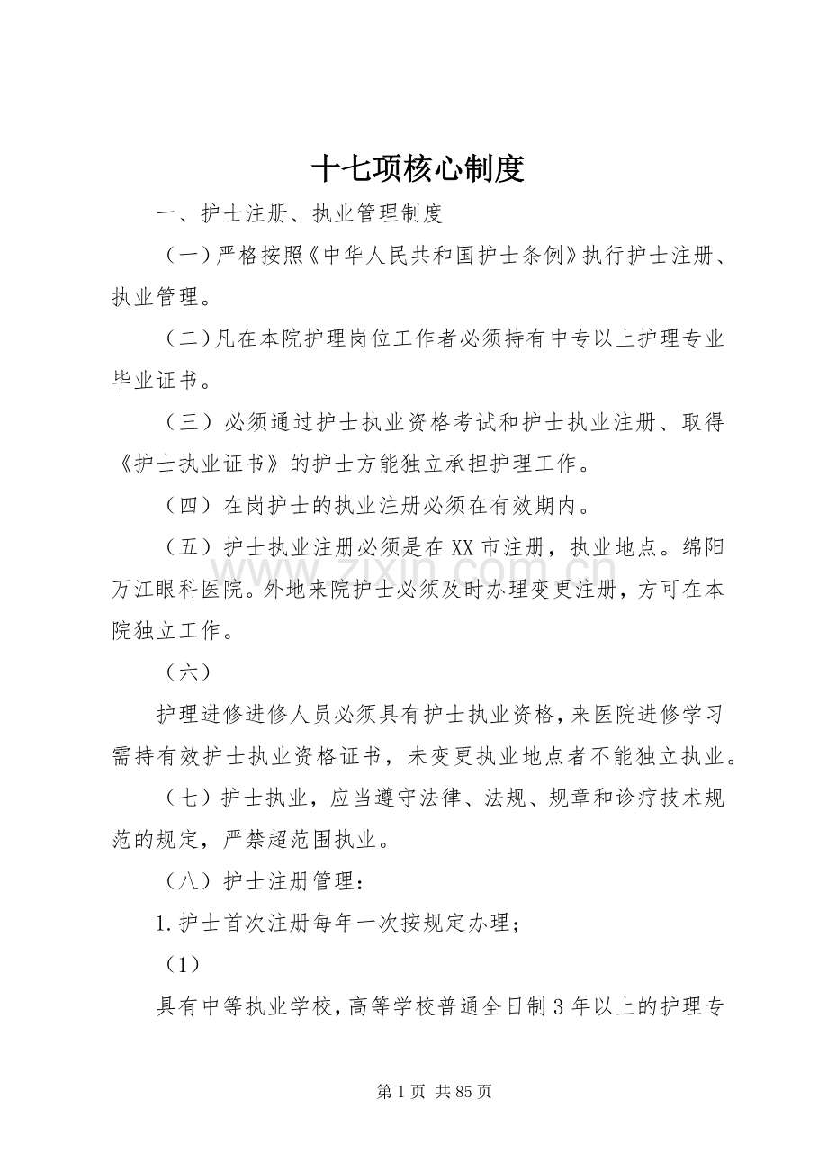 十七项核心规章制度.docx_第1页