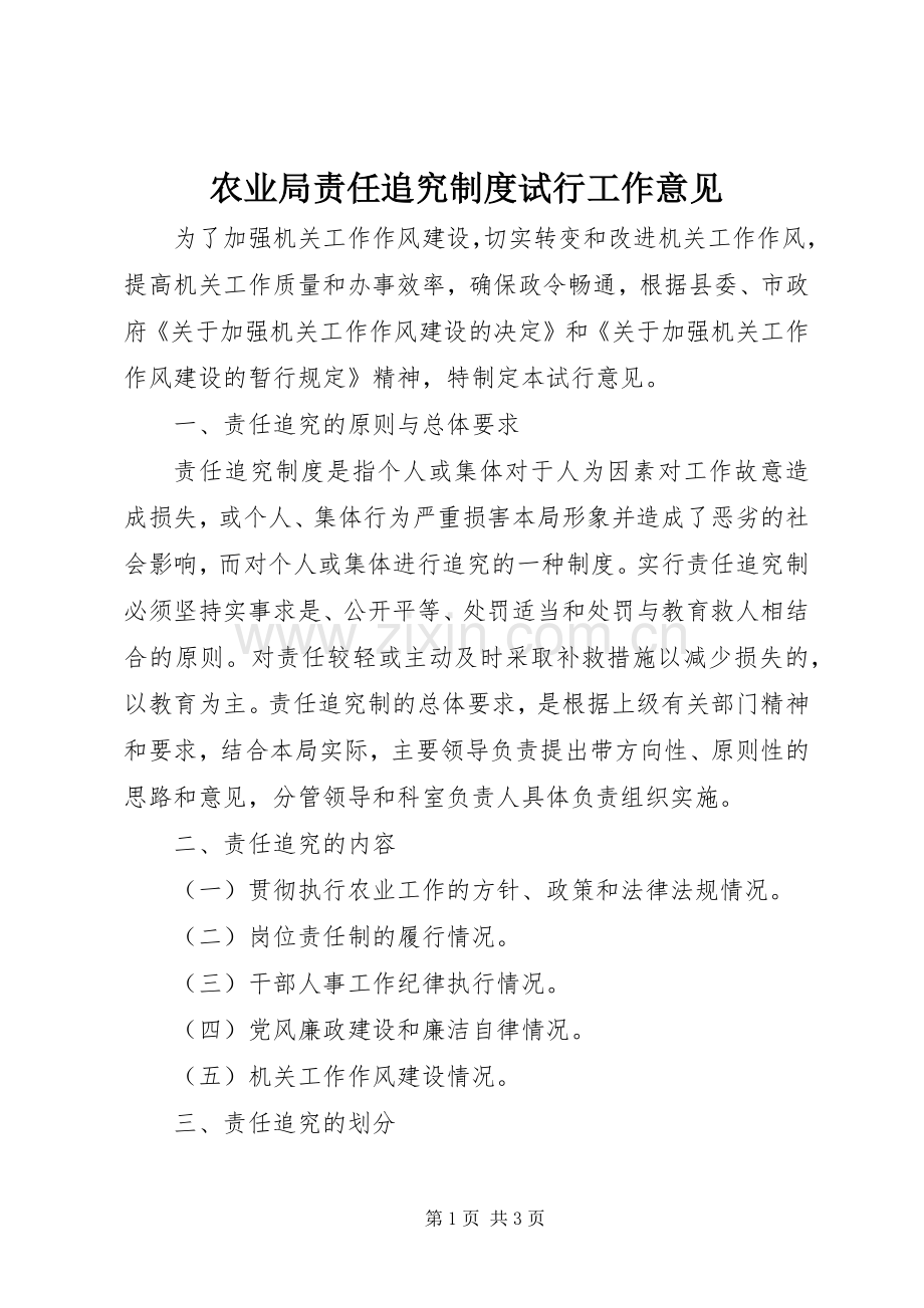 农业局责任追究规章制度试行工作意见.docx_第1页