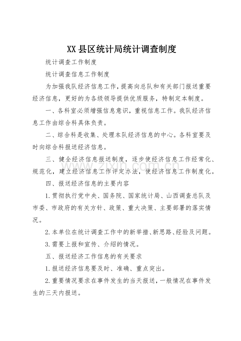 县区统计局统计调查规章制度细则.docx_第1页