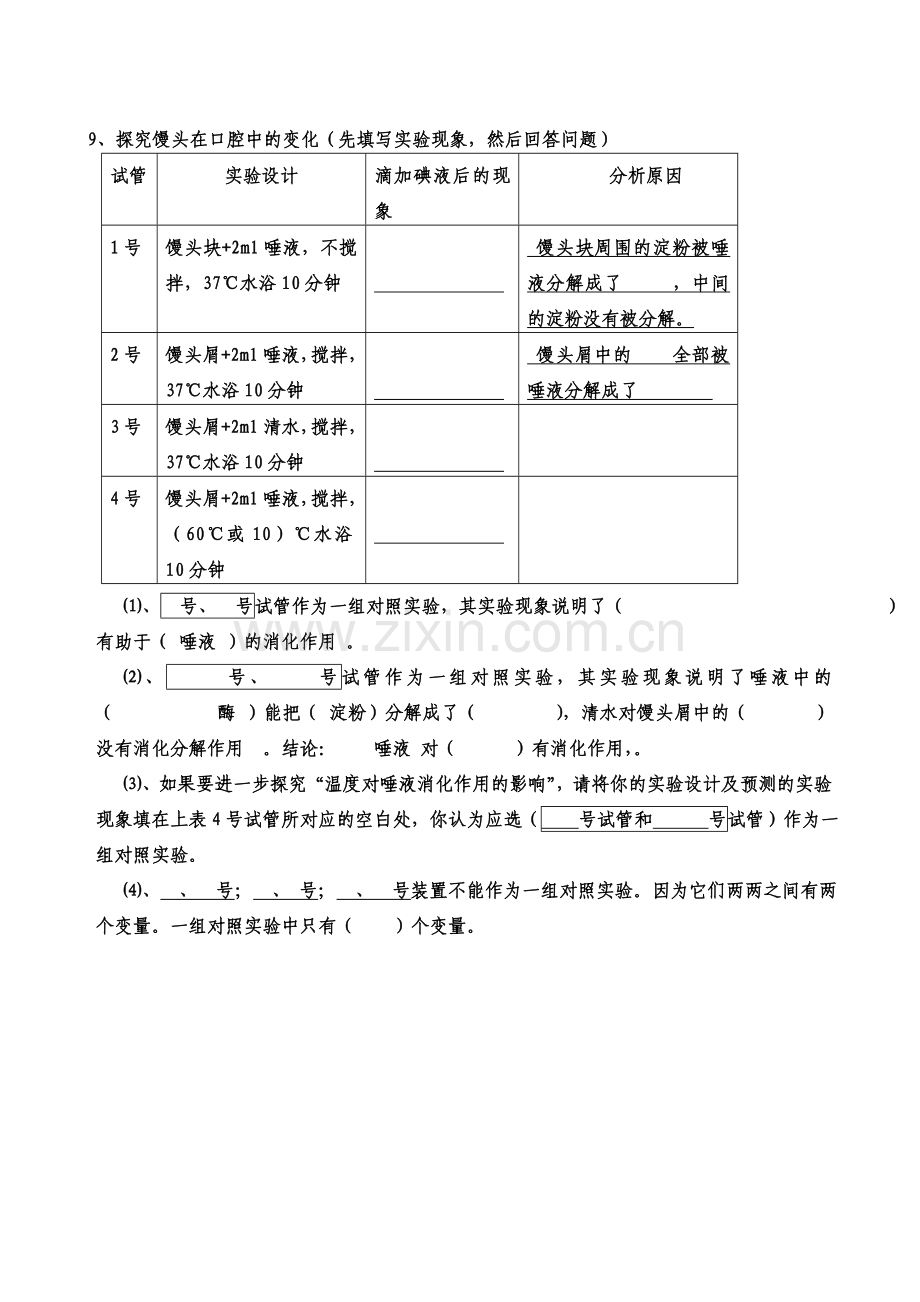 第二节-消化和吸收.doc_第2页