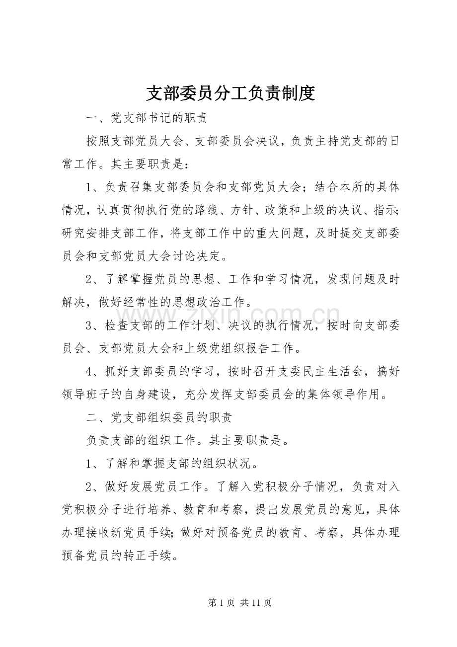 支部委员分工负责规章制度.docx_第1页