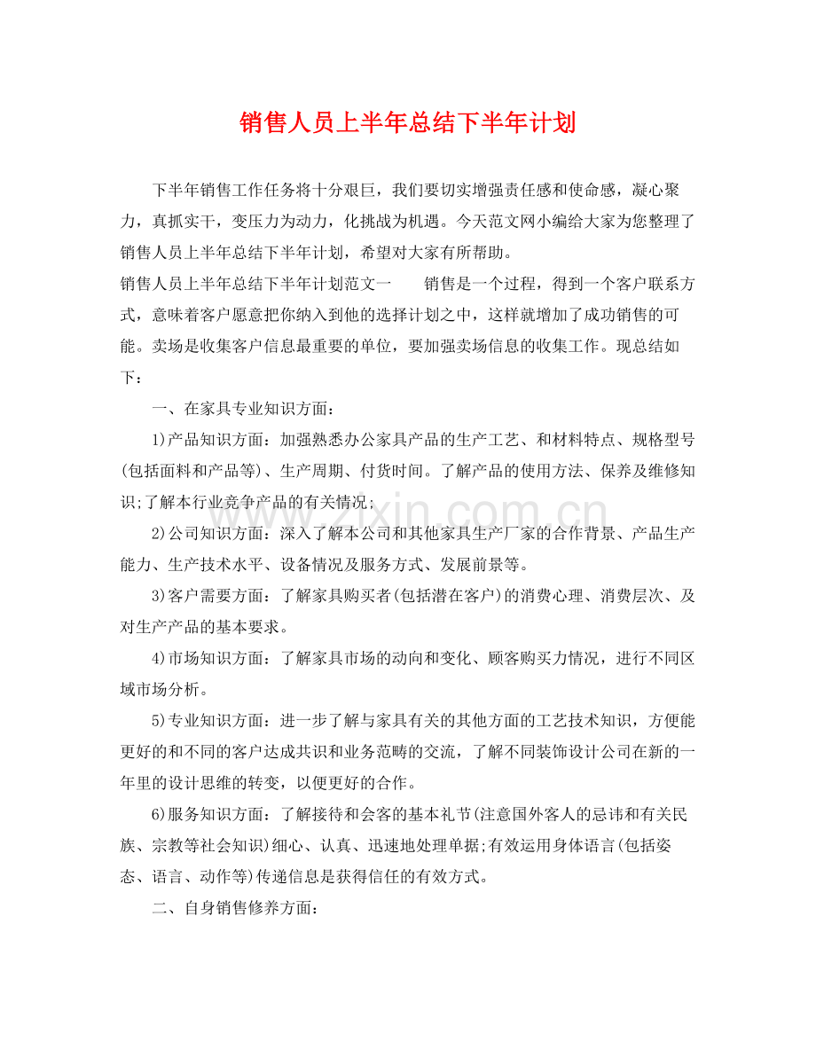 销售人员上半年总结下半年计划 .docx_第1页