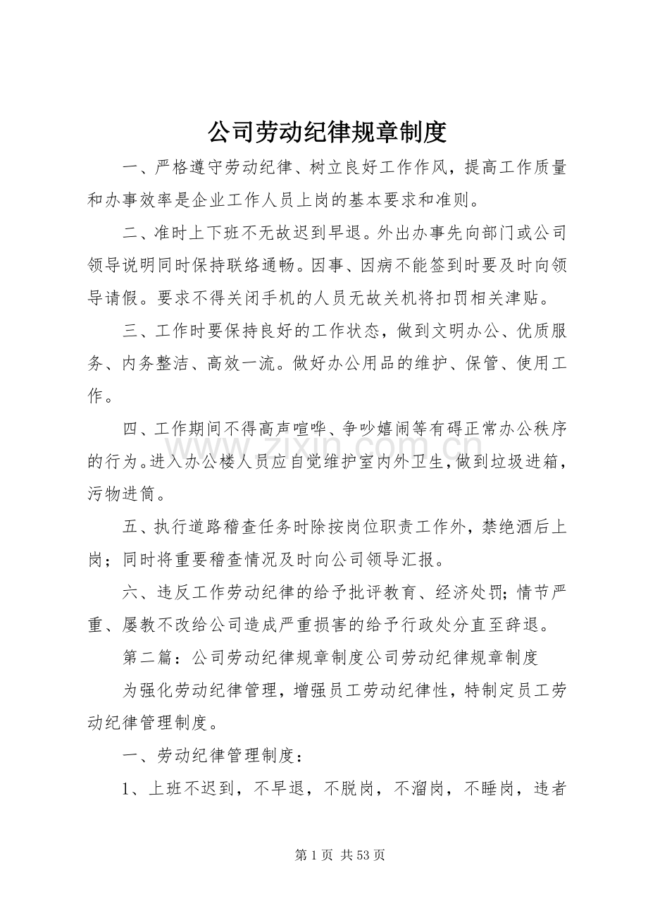 公司劳动纪律规章规章制度.docx_第1页