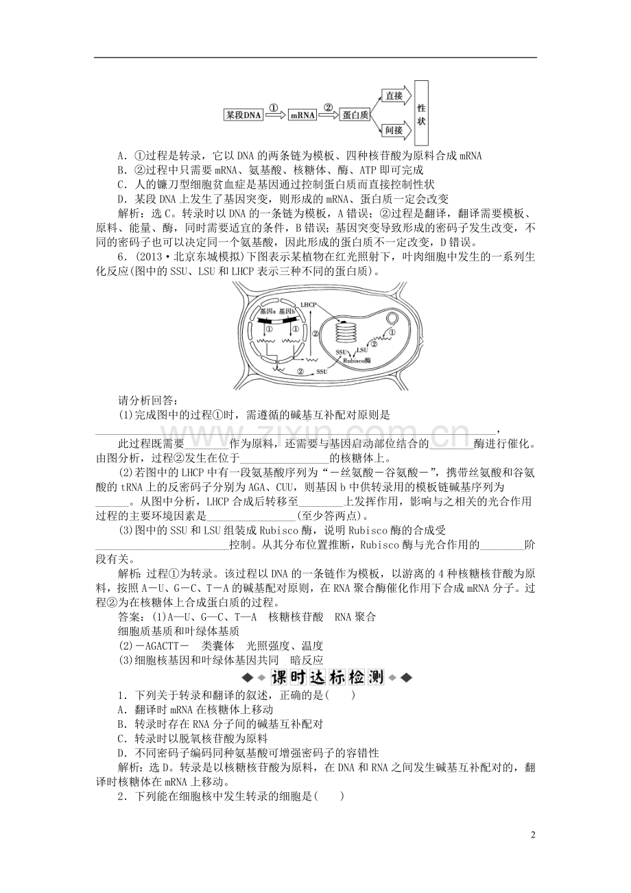 【优化方案】2014届高考生物一轮复习-第四章-第1、2节-基因指导蛋白质的合成-基因对性状的控制知能演练强化.doc_第2页