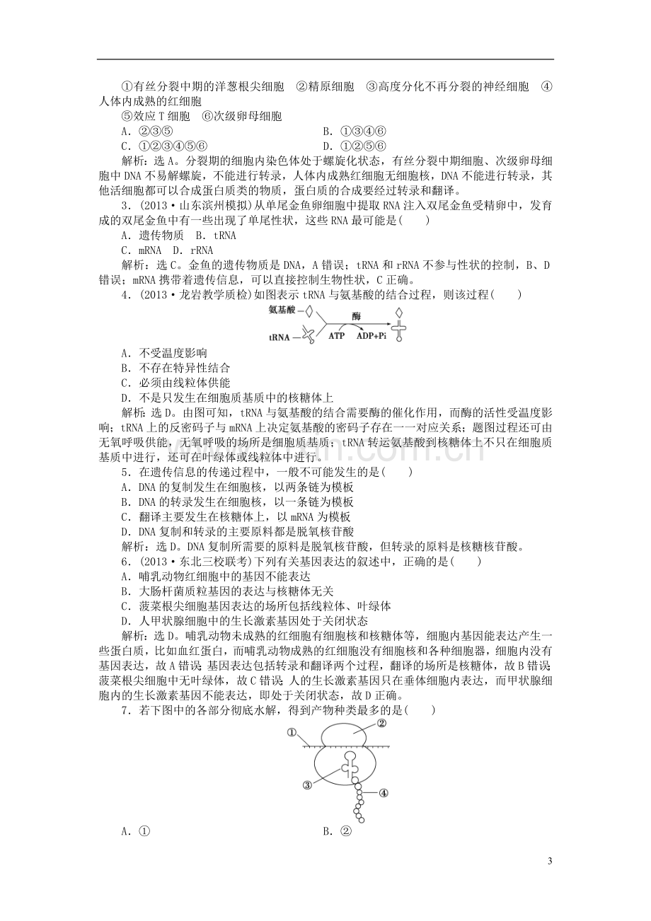 【优化方案】2014届高考生物一轮复习-第四章-第1、2节-基因指导蛋白质的合成-基因对性状的控制知能演练强化.doc_第3页