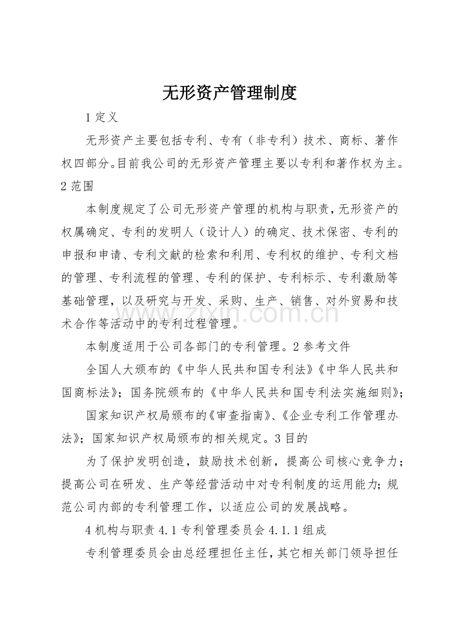 无形资产规章制度管理.docx_第1页