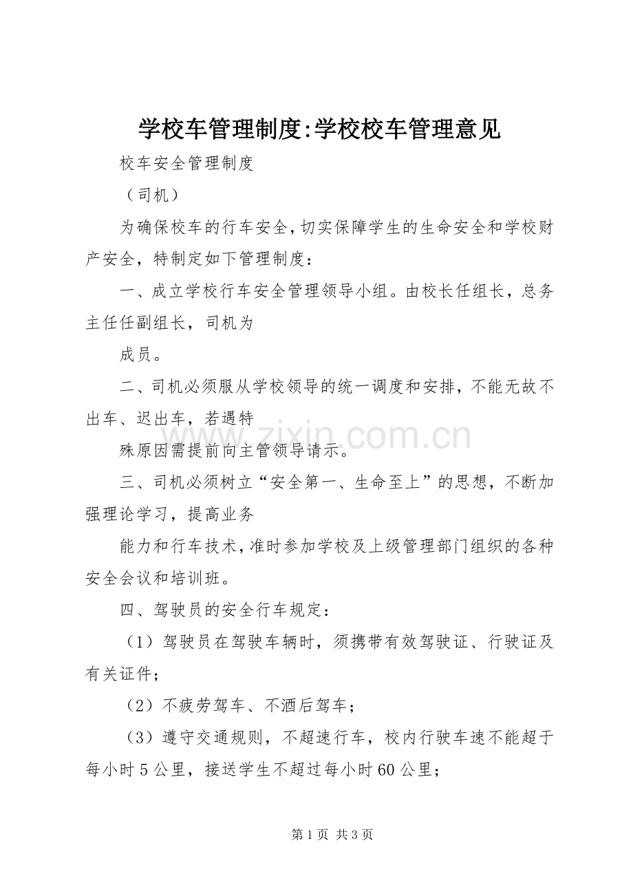 学校车管理规章制度-学校校车管理意见.docx_第1页