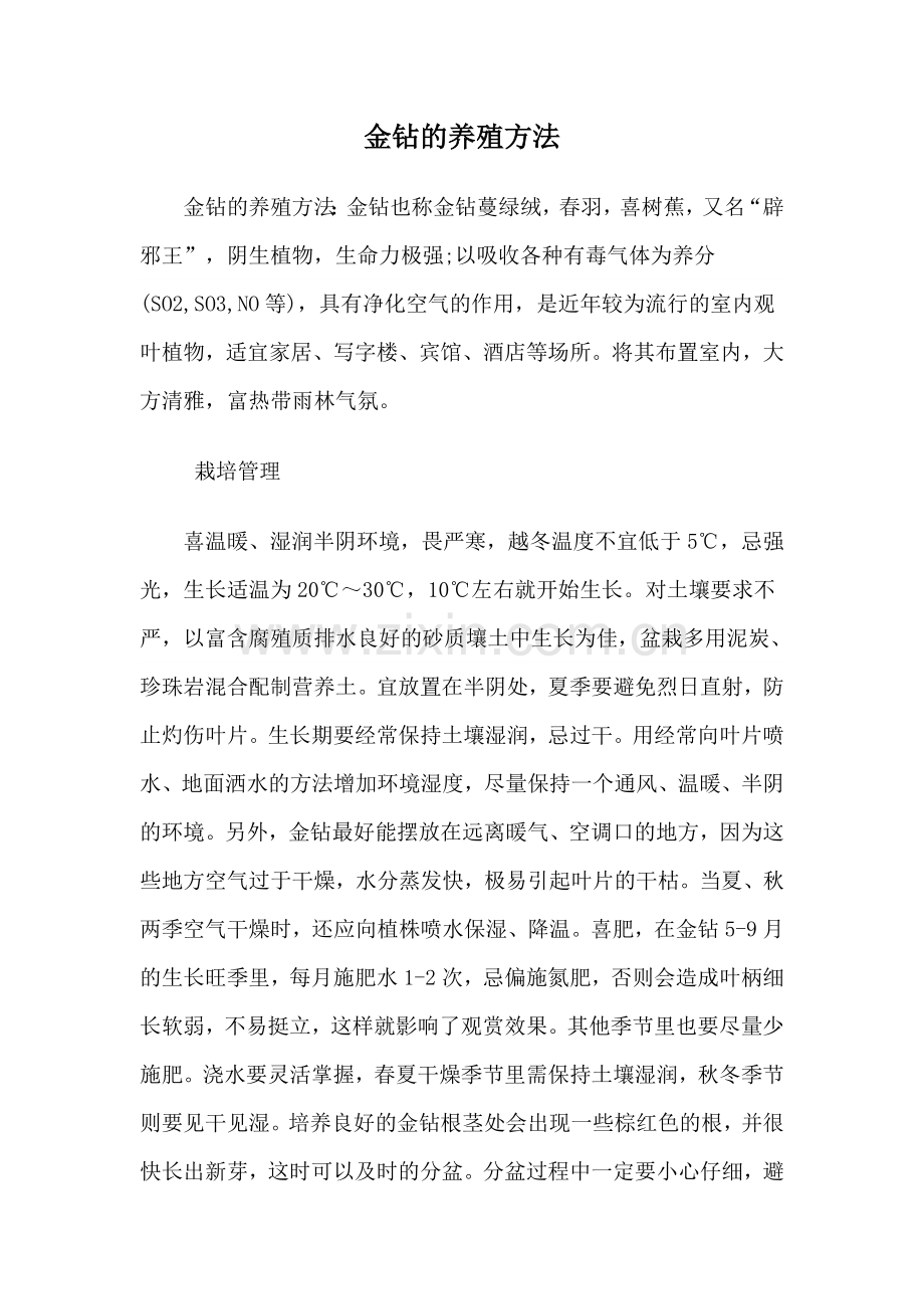 金钻的养殖方法.doc_第1页