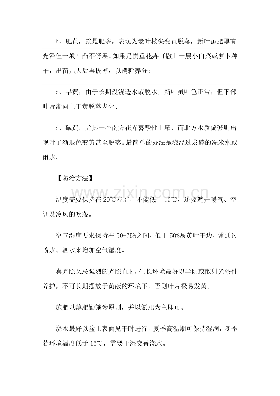 金钻的养殖方法.doc_第3页