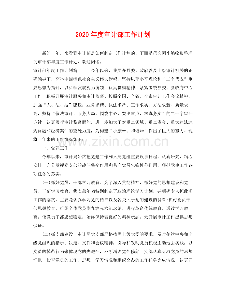 2020年度审计部工作计划 .docx_第1页