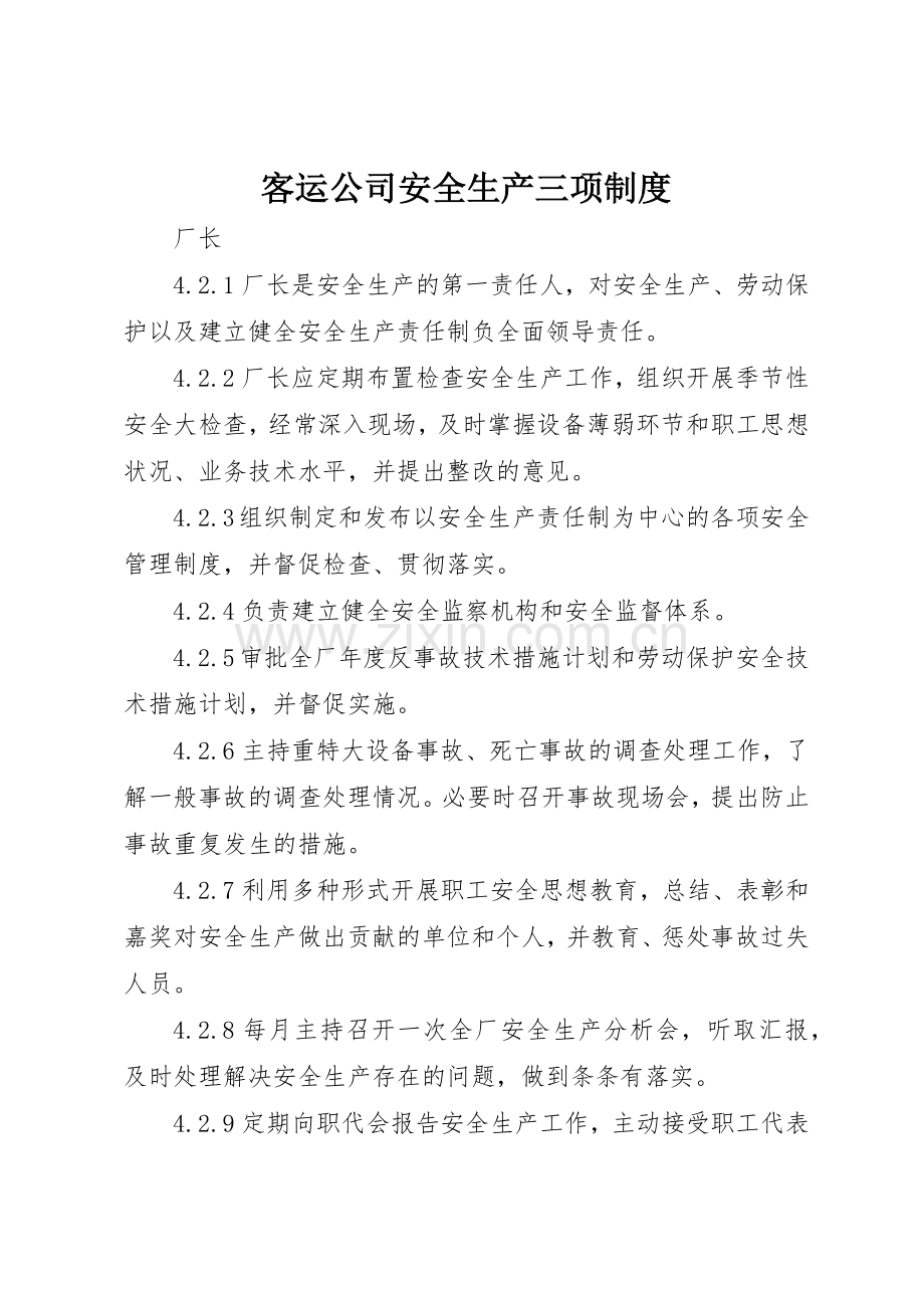 客运公司安全生产三项规章制度细则.docx_第1页