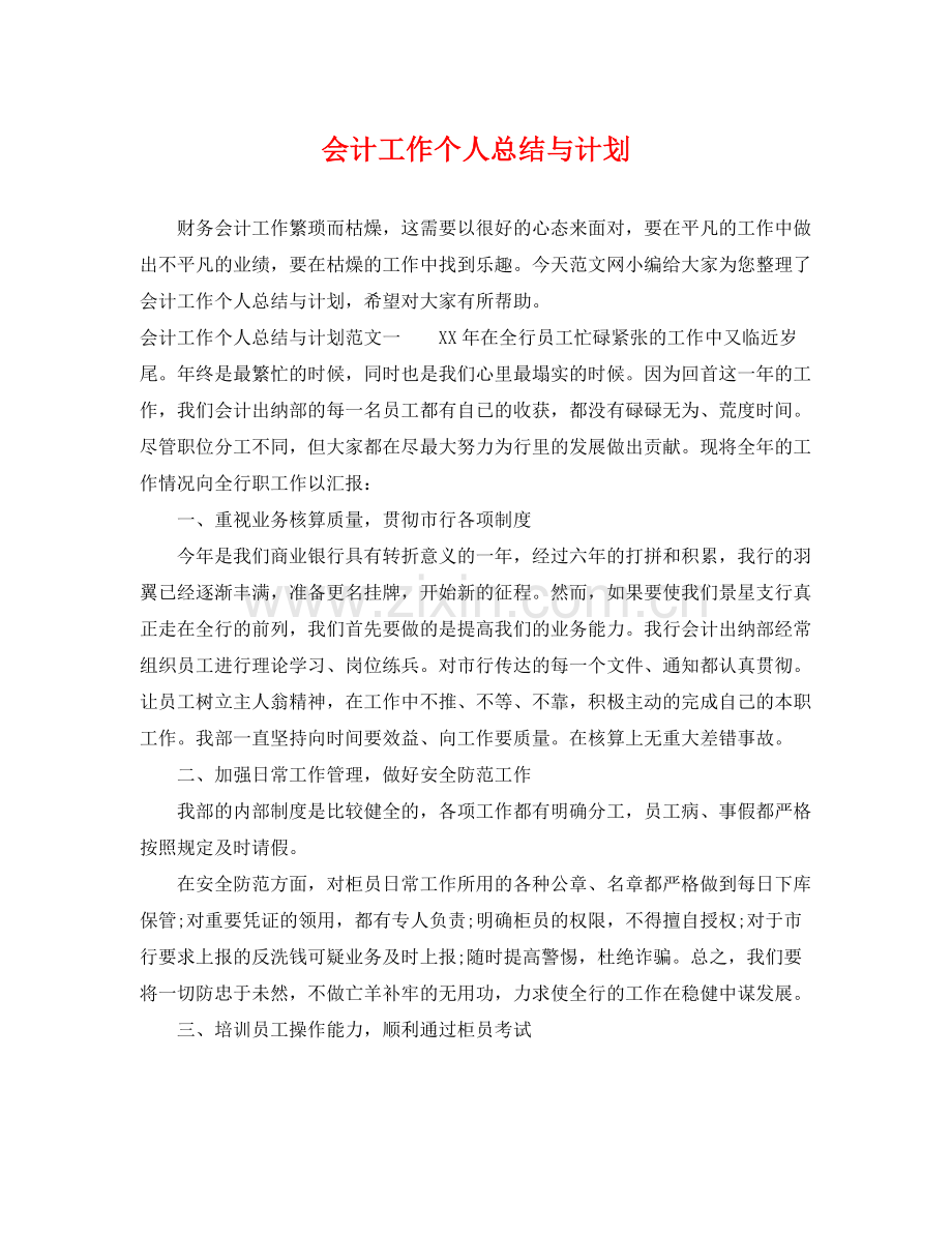 会计工作个人总结与计划 .docx_第1页