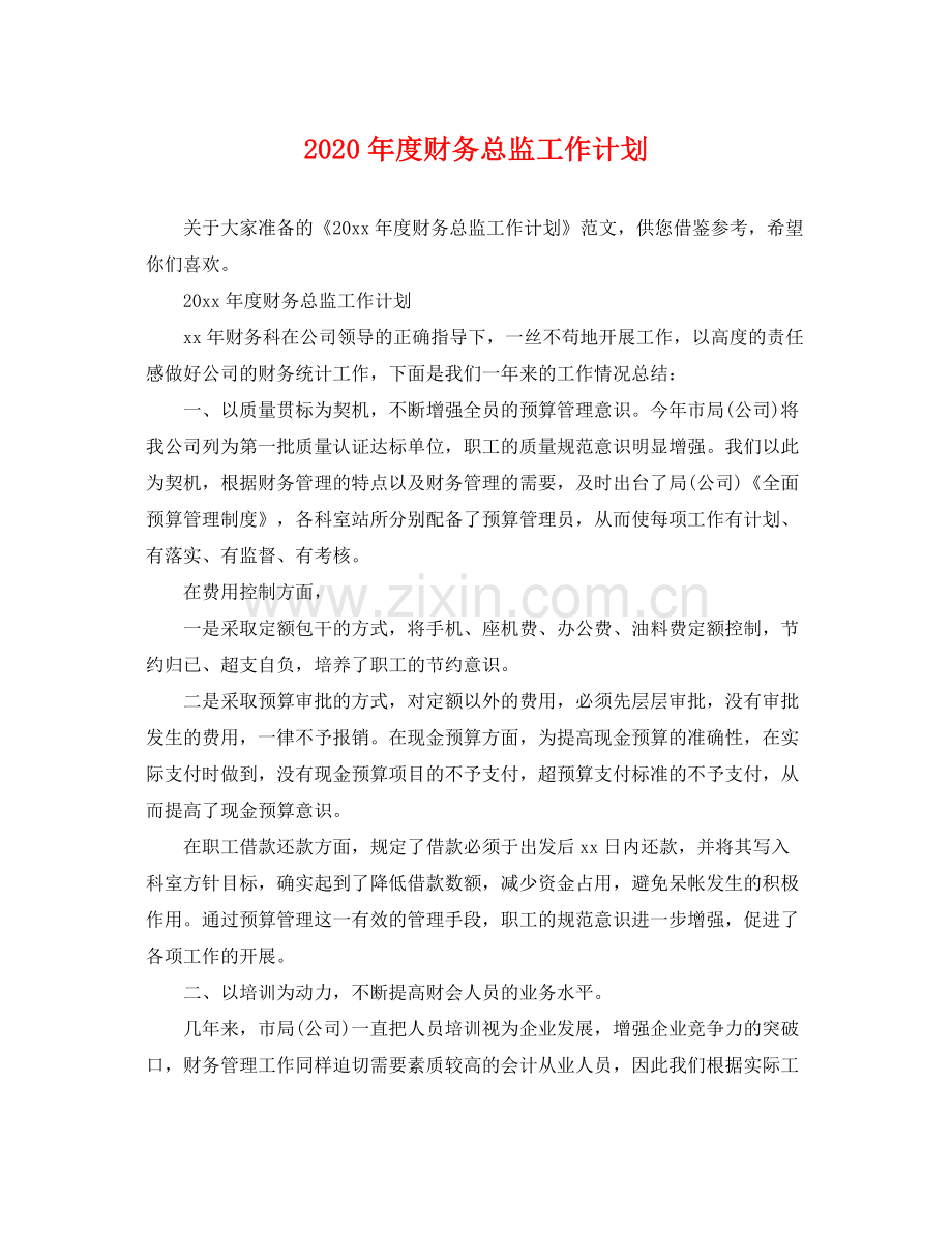 2020年度财务总监工作计划 .docx_第1页