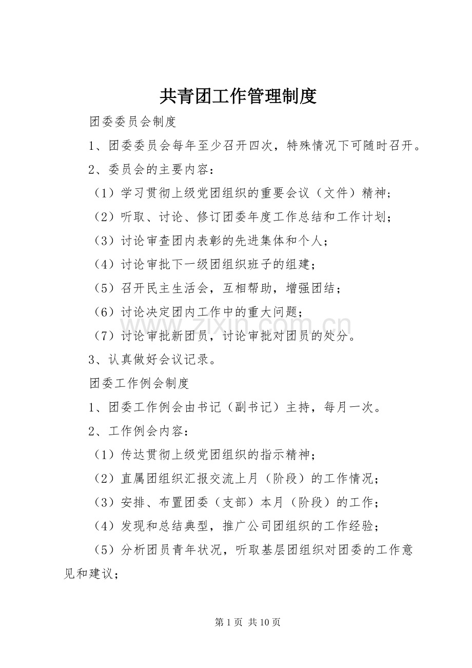 共青团工作管理规章制度细则.docx_第1页