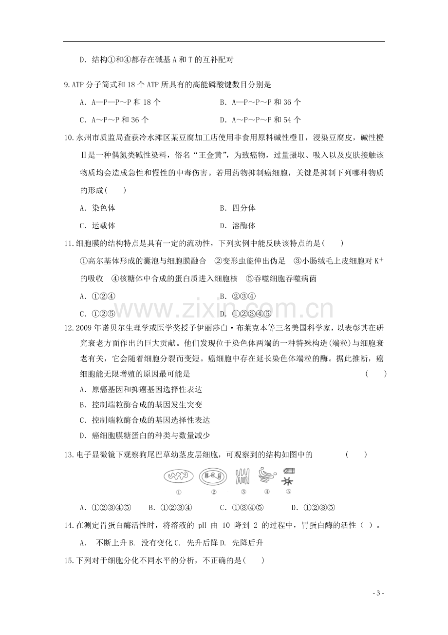 2012年高三生物二轮专题演练-分子与细胞专题13.doc_第3页