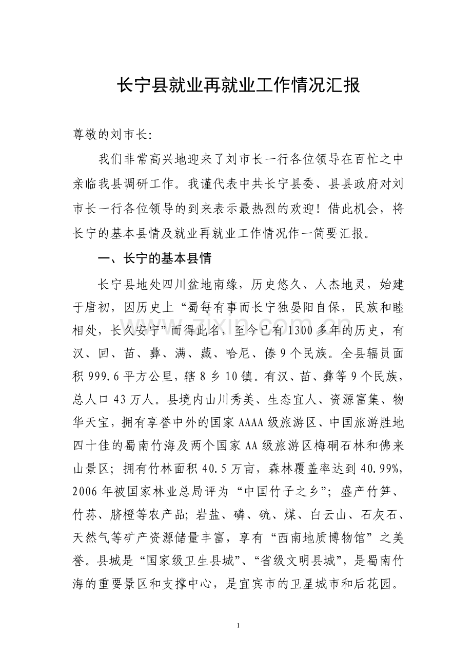 长宁县就业再就业工作情况汇报.doc_第1页