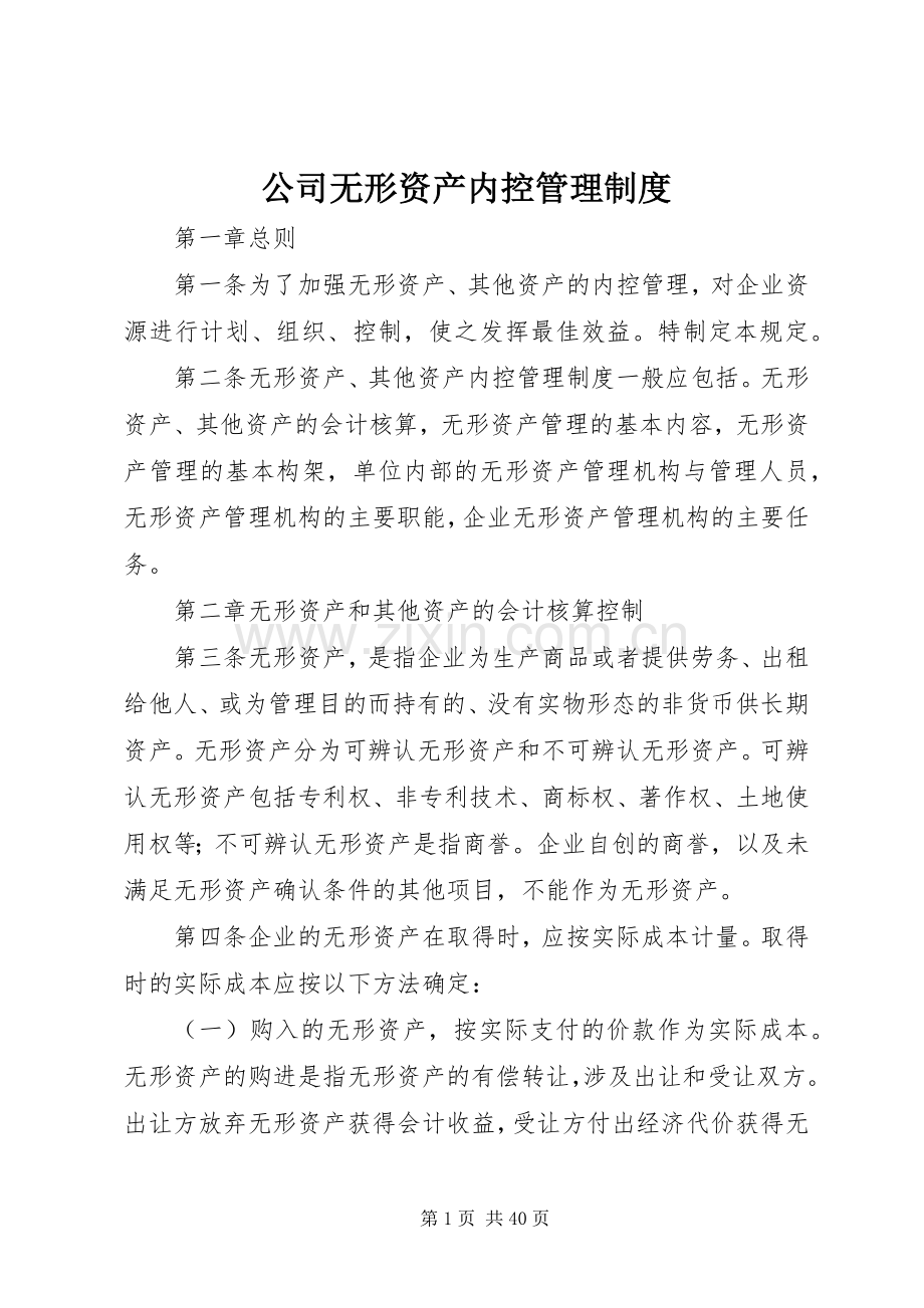 公司无形资产内控管理规章制度.docx_第1页