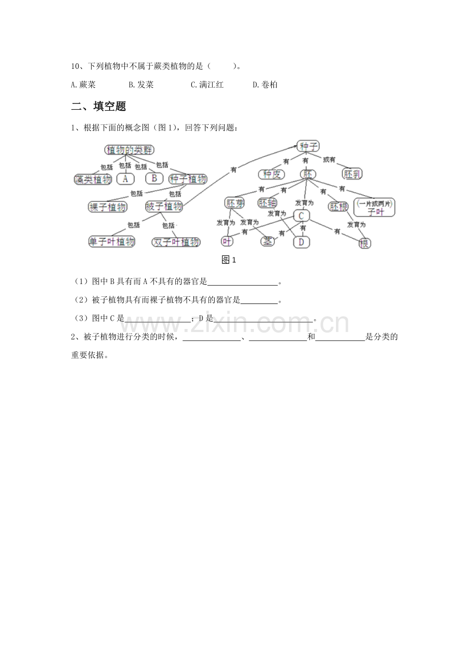 《2-植物的主要类群》习题2.doc_第2页