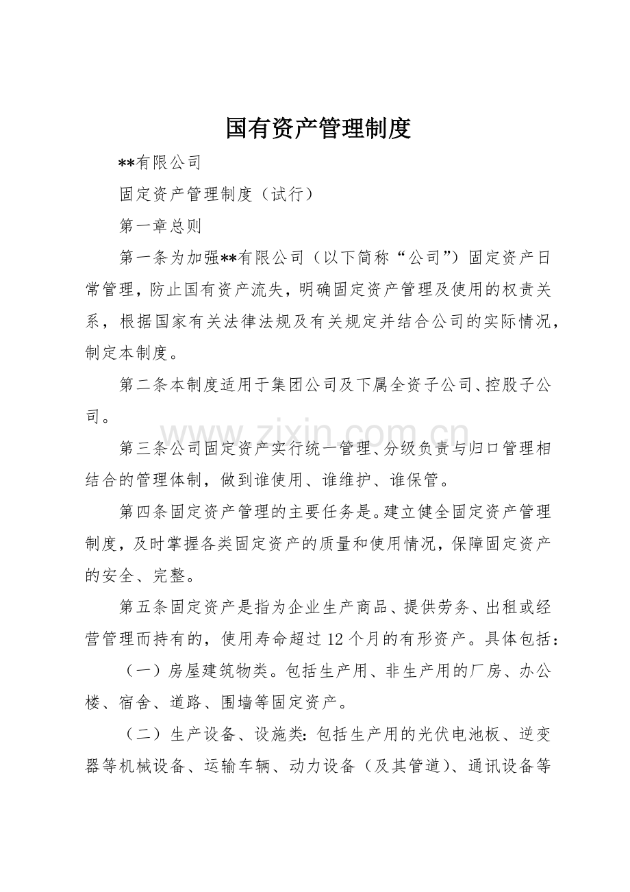 国有资产管理规章制度细则.docx_第1页