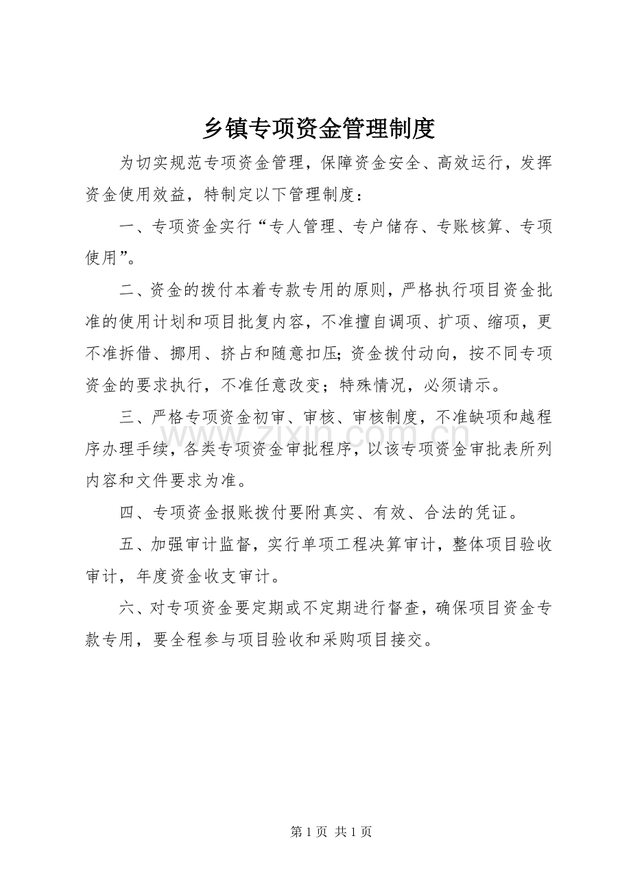 乡镇专项资金管理规章制度.docx_第1页