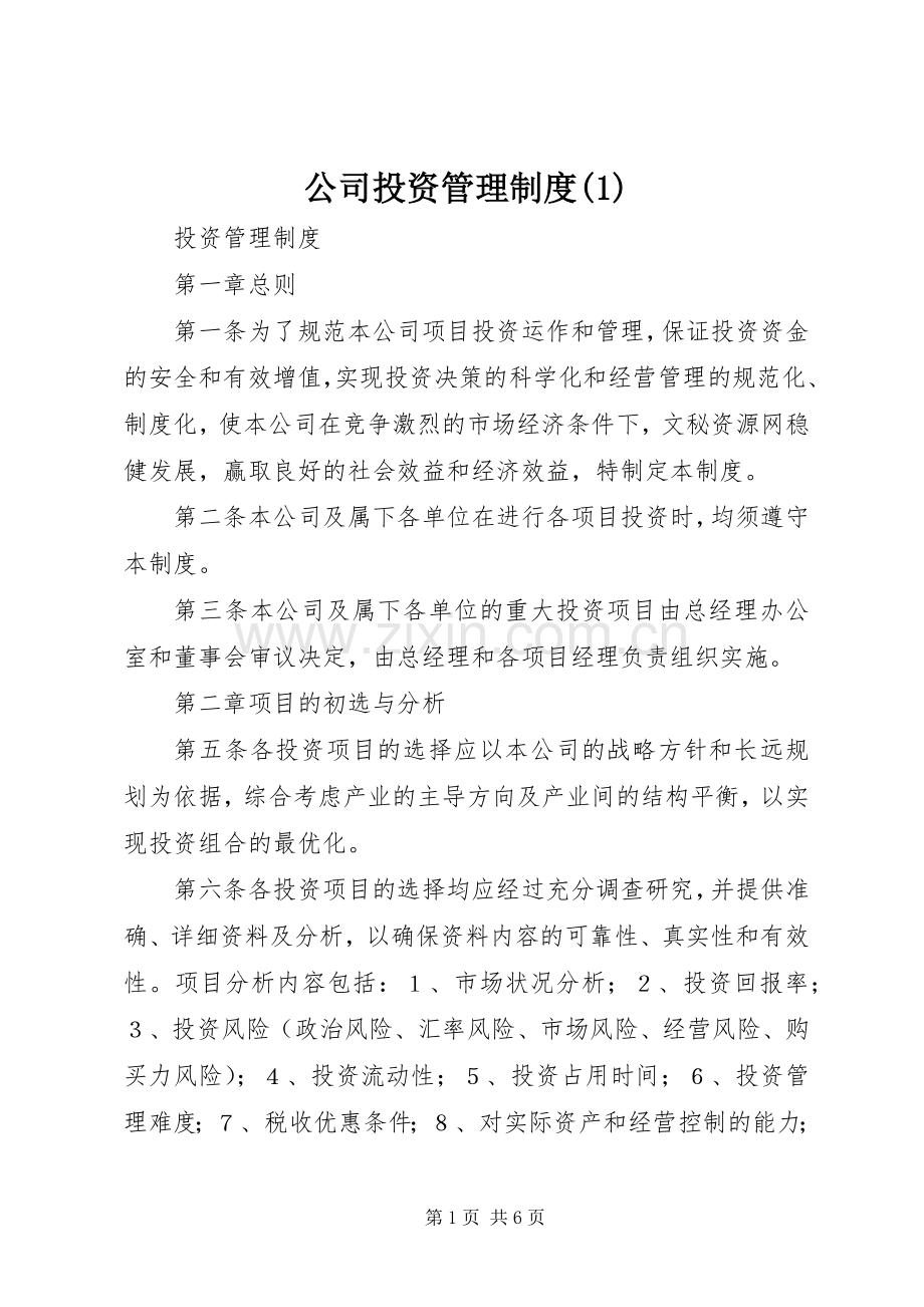 公司投资管理规章制度(1).docx_第1页