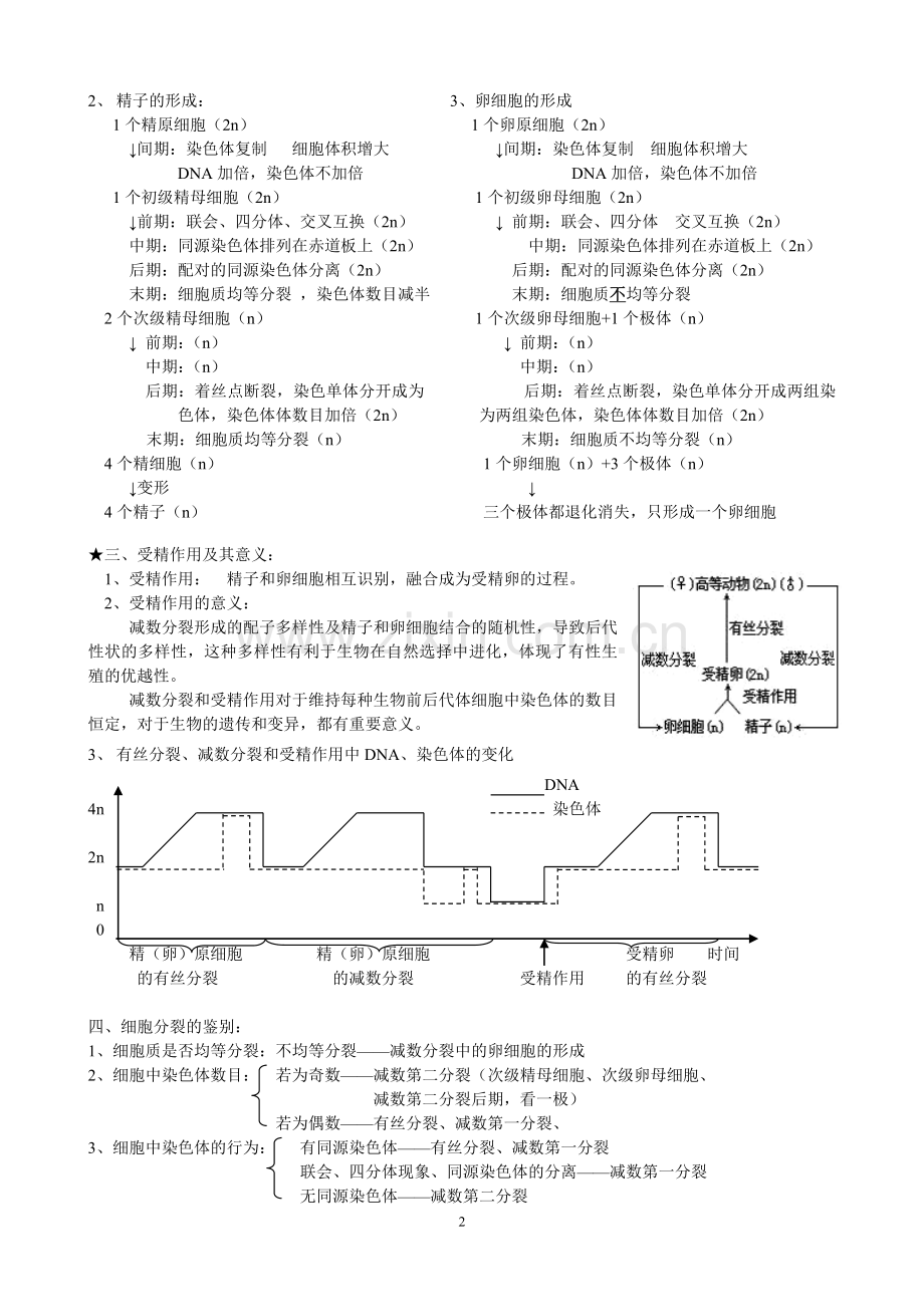 高中生物必修2知识汇编.doc_第2页