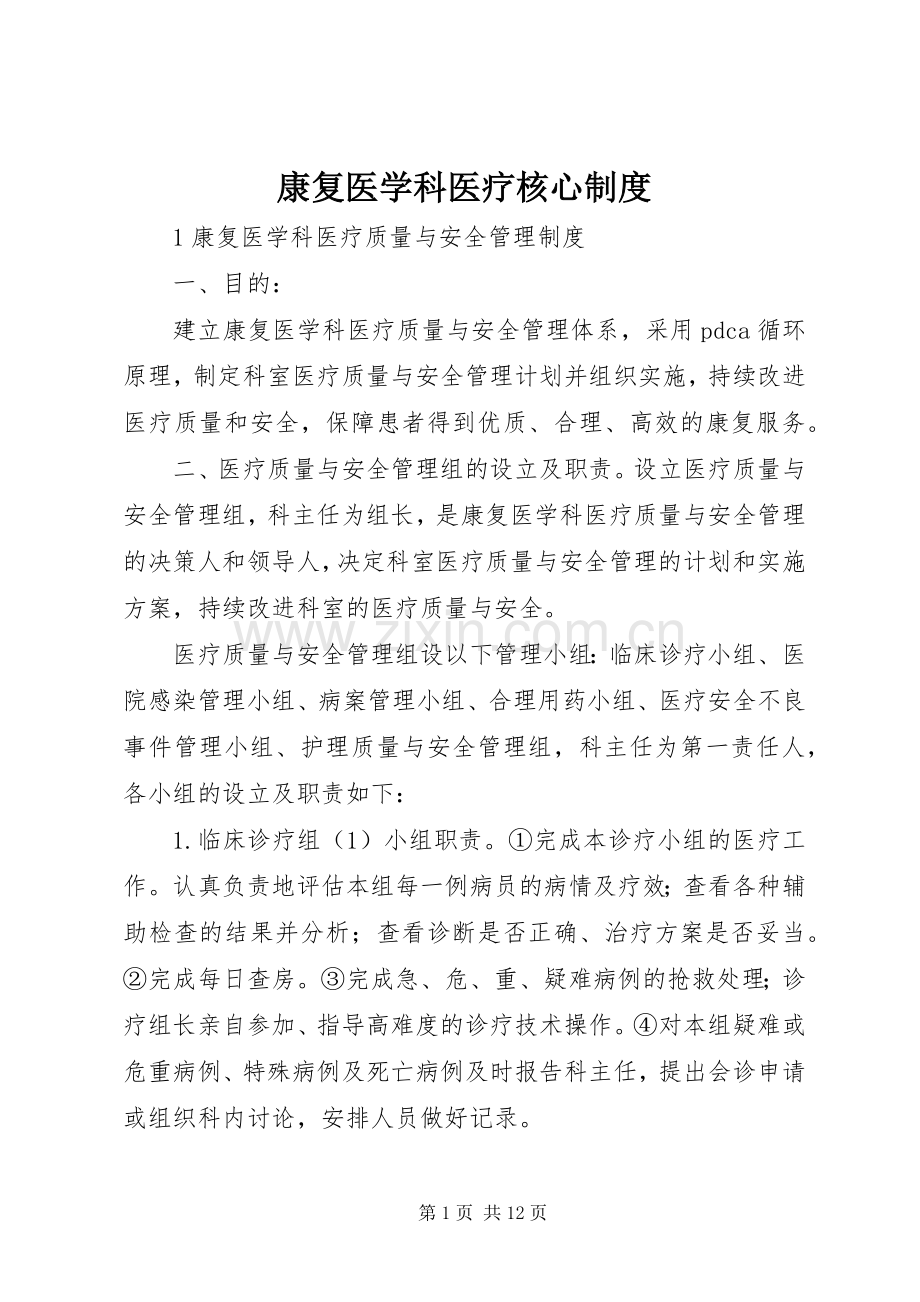 康复医学科医疗核心规章制度细则.docx_第1页