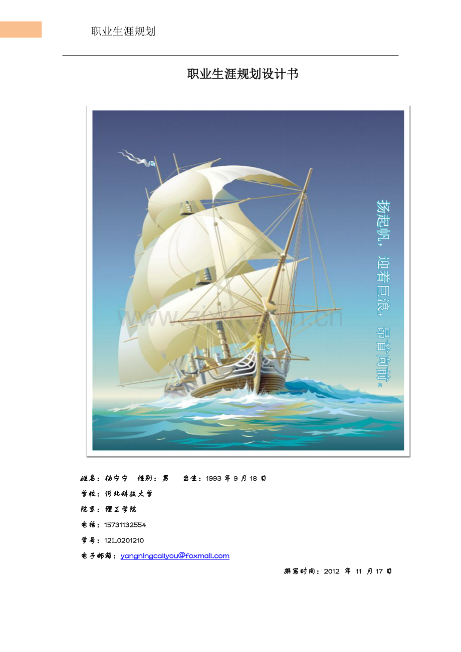 信息管理与信息系统专业职业生涯规划.docx_第1页