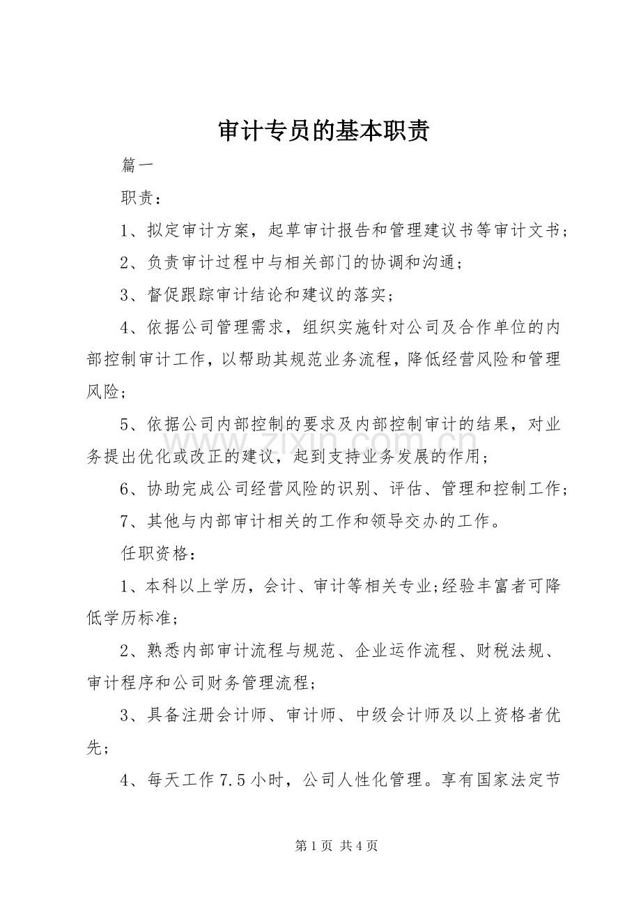 审计专员的基本职责要求.docx_第1页