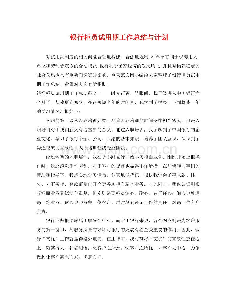 银行柜员试用期工作总结与计划 .docx_第1页