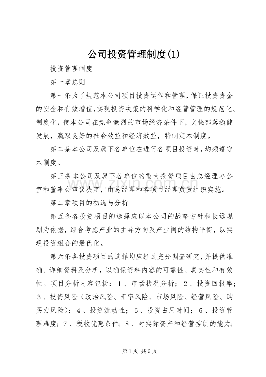 公司投资管理规章制度.docx_第1页