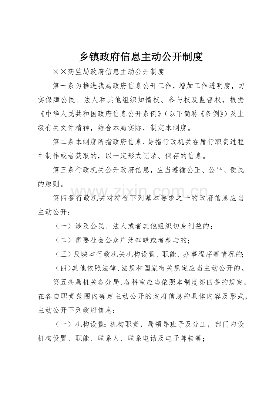 乡镇政府信息主动公开规章制度细则.docx_第1页