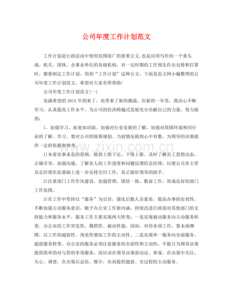 公司年度工作计划范文 .docx_第1页