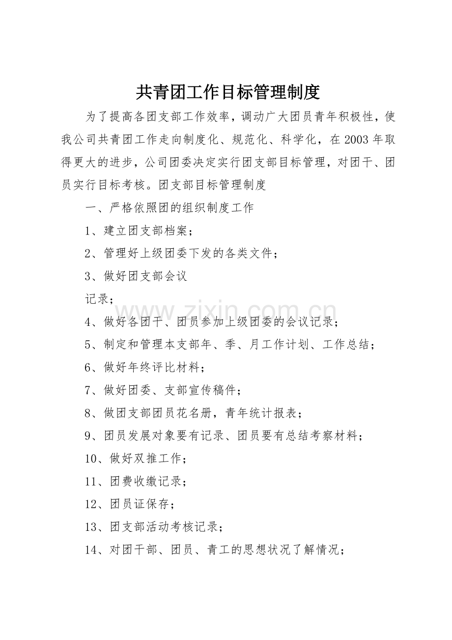 共青团工作目标管理规章制度细则.docx_第1页