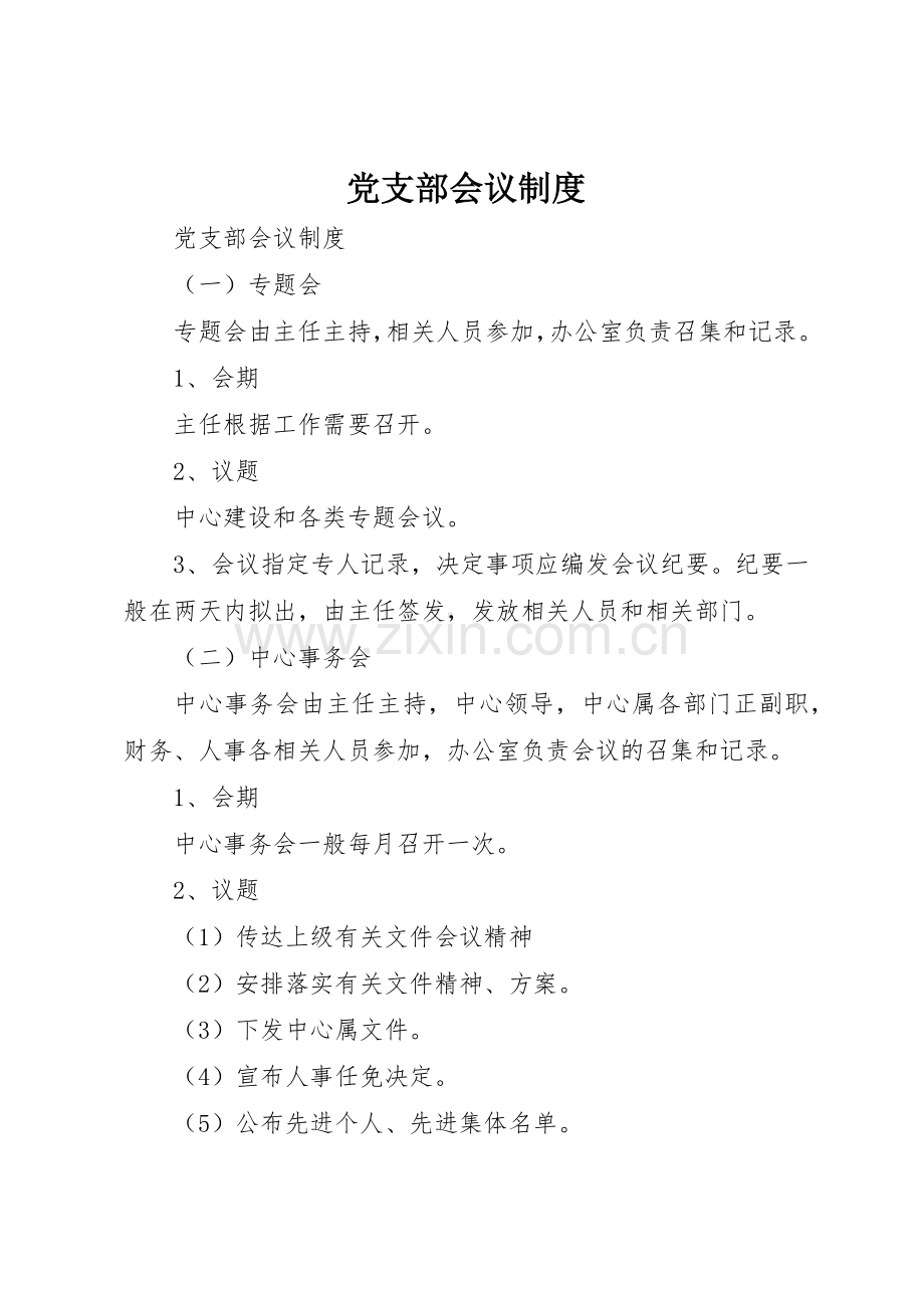 党支部会议规章制度细则.docx_第1页