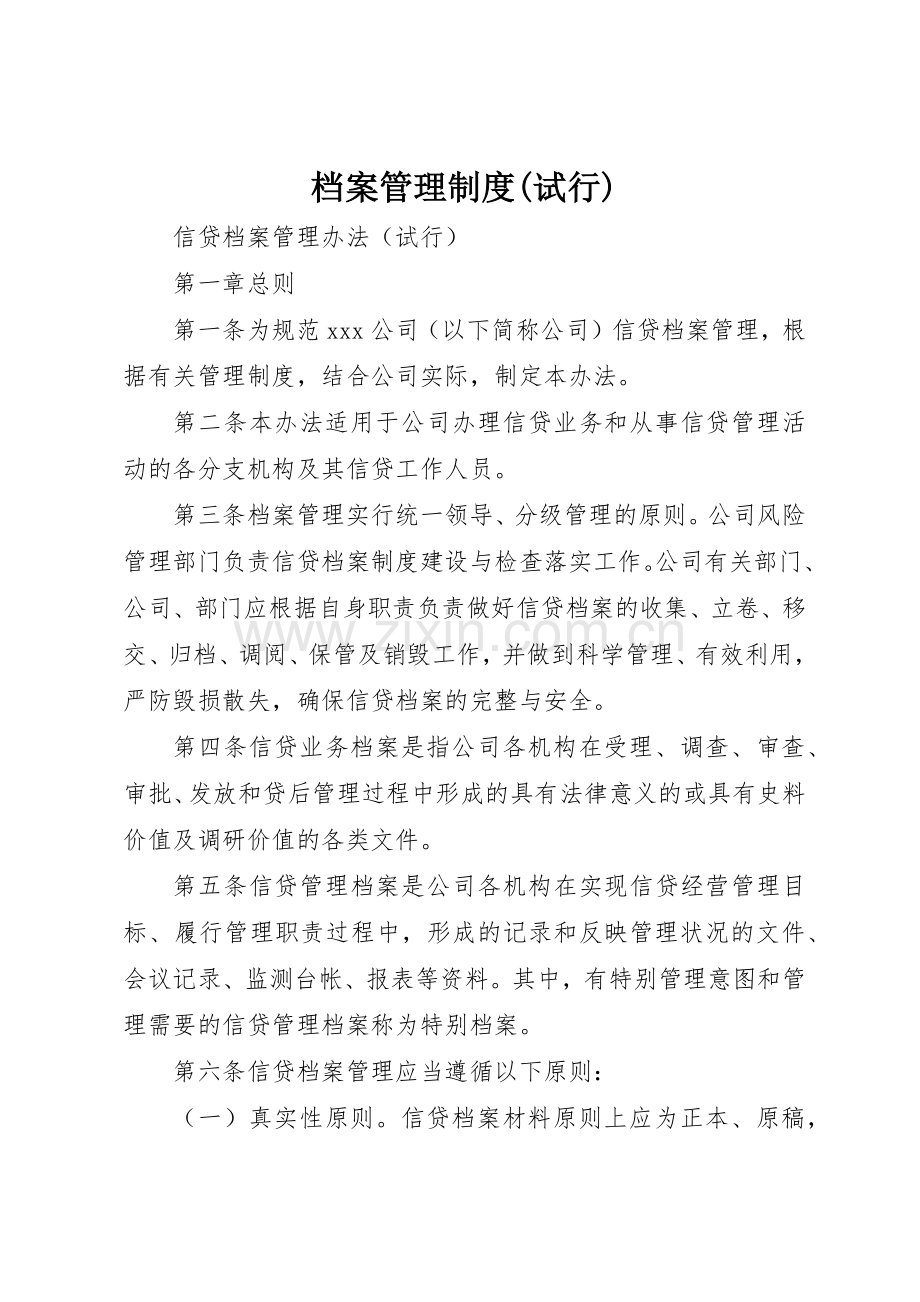 档案管理规章制度(试行) .docx_第1页