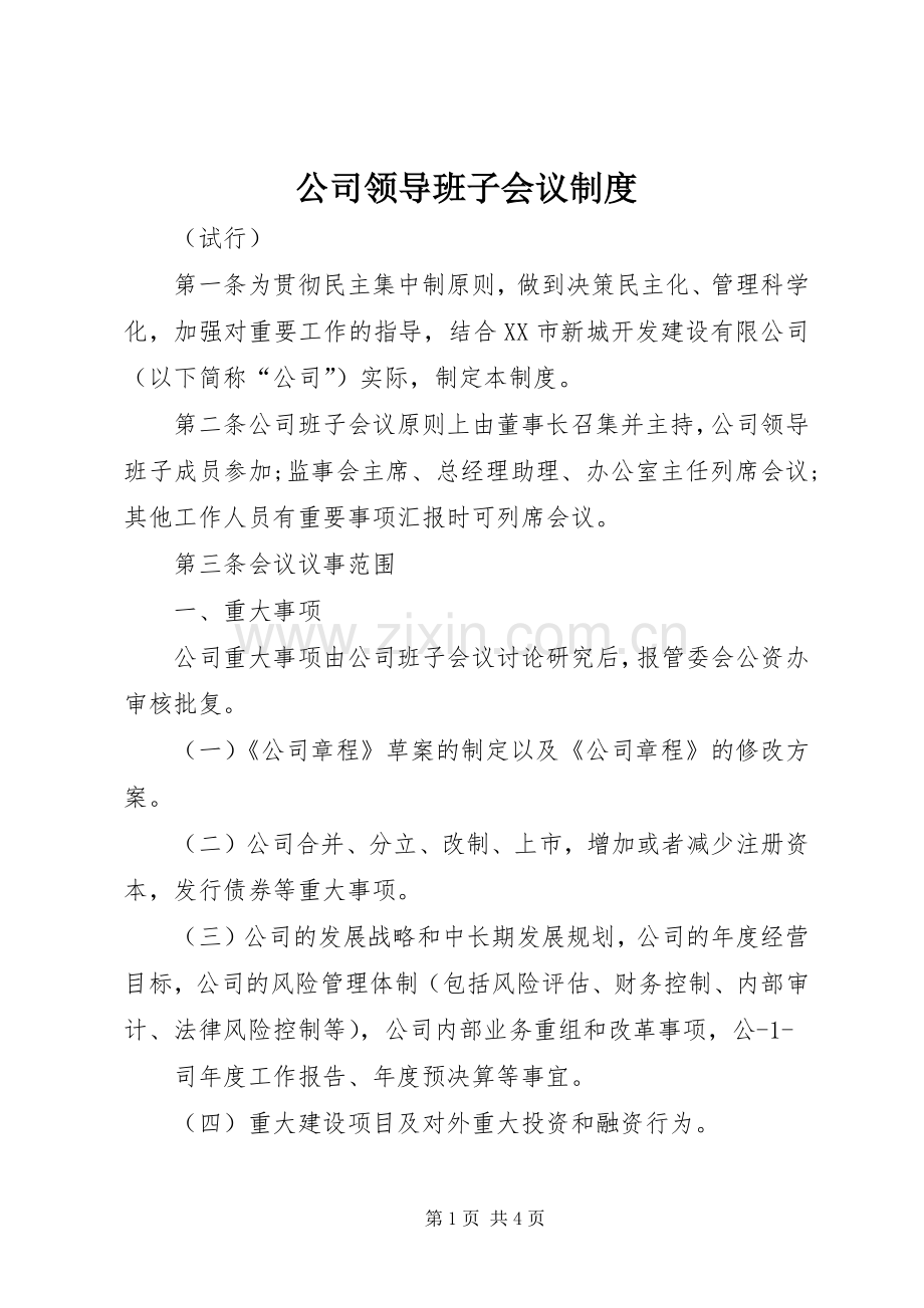 公司领导班子会议规章制度.docx_第1页